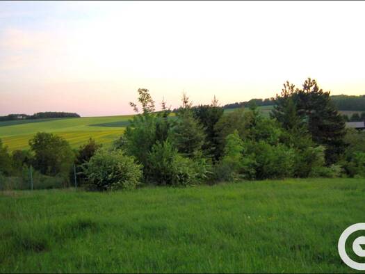 Terrain constructible à vendre 56 000 € 4 390 m² de terrain Bagneaux 89190