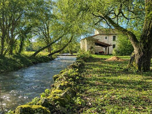 Maison à vendre 269 600 € 5 pièces 3 chambres 161,2 m² 2 532 m² de terrain Londigny 16700