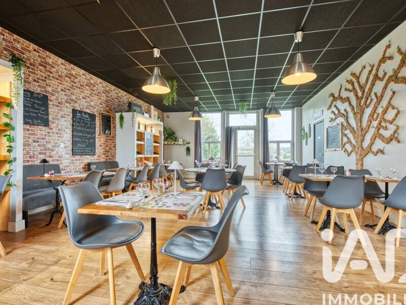 Maison à vendre, 299m², MOULIN NEUF