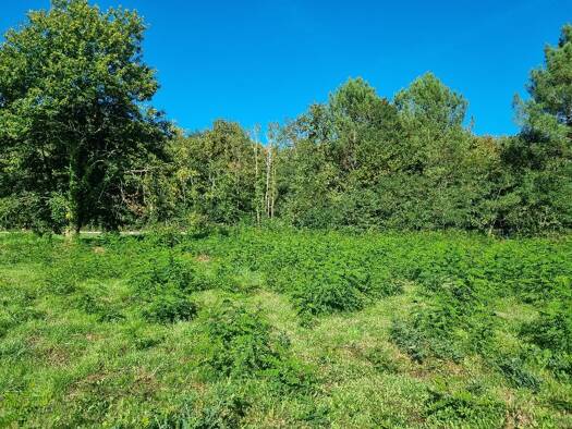 Terrain constructible à vendre 297 000 € 1 070 m² de terrain Saint-Aubin-de-Médoc 33160
