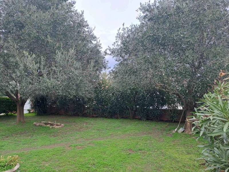 Maison à vendre, 100m², BORGO