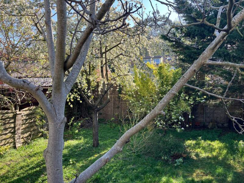 Maison à vendre, 165m², MONTREUIL