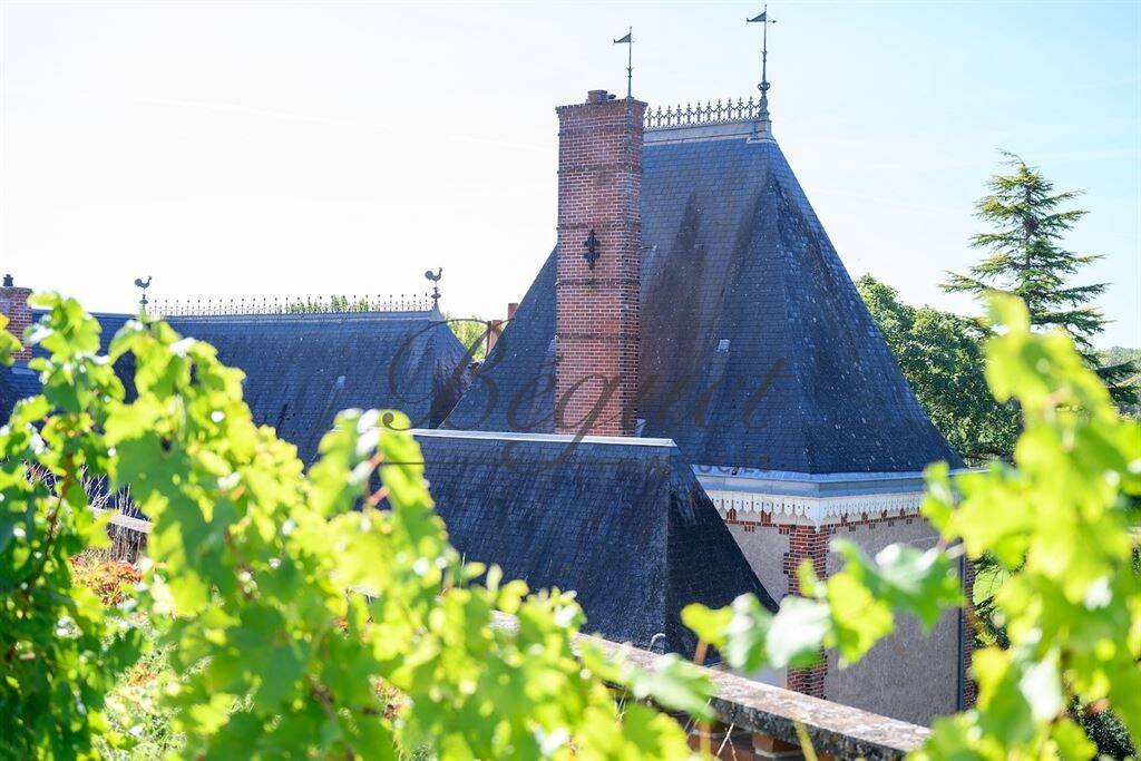 Maison à vendre, 500m², VERNOU SUR BRENNE