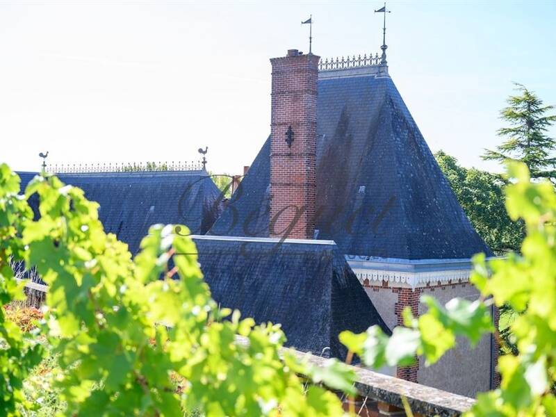Maison à vendre, 500m², VERNOU SUR BRENNE