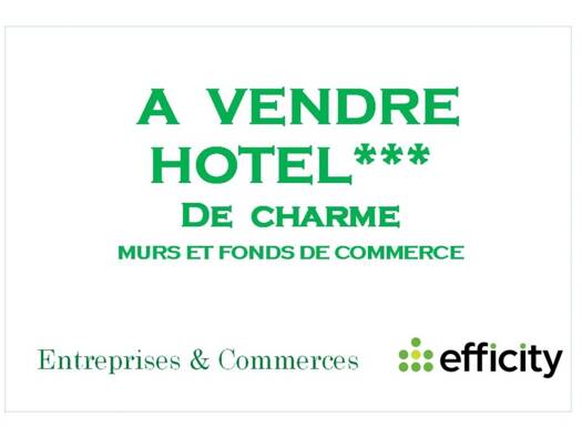 Activités diverses à vendre Fonds de commerce 2 540 000 € 1 084 m² de surface de vente Estrablin 38780