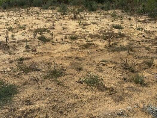 Terrain constructible viabilisé à vendre 95 500 € 500 m² de terrain Margaux-Cantenac 33460