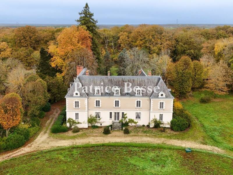 Maison à vendre, 600m², TOURS