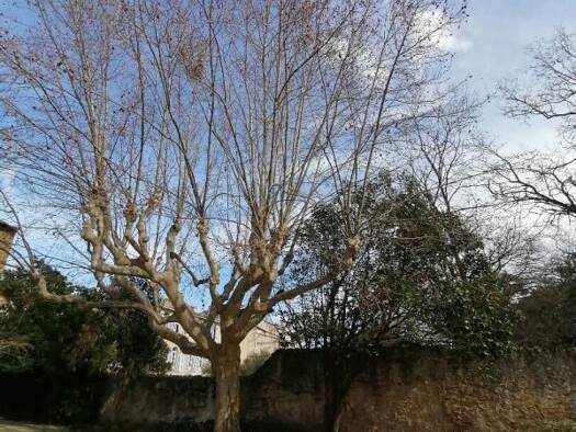 Terrain à vendre 390 000 € 618 m² de terrain Centre Ville Le Beausset 83330