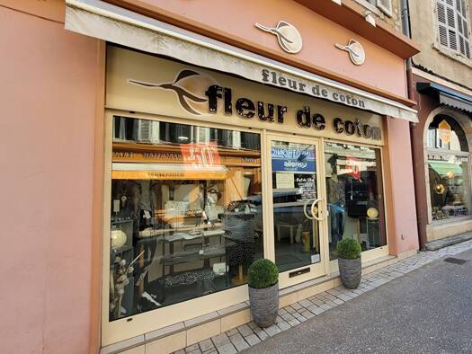 Boutique à vendre Fonds de commerce 46 000 € 118 m² de surface de vente Poligny 39800