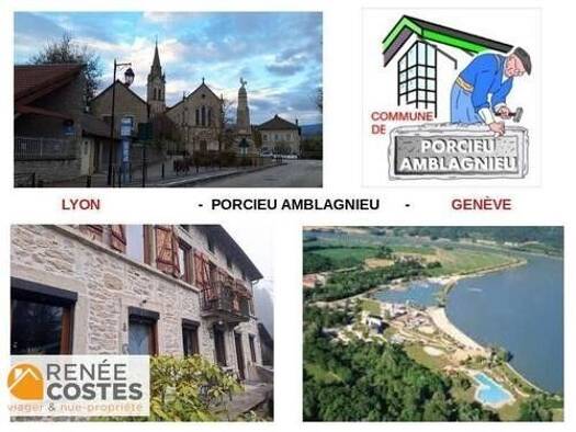 Maison en viager occupé Bouquet 99 920 € 6 pièces 5 chambres 190 m² 1 400 m² de terrain Morestel 38510