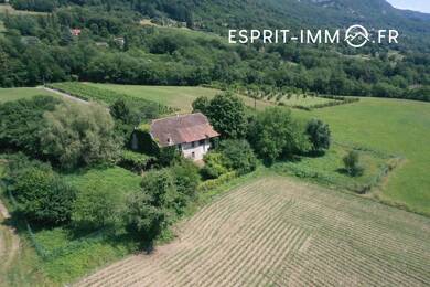 Maison à vendre 300 000 € 8 pièces 4 chambres 163 m² 17 997 m² de terrain Motz 73310