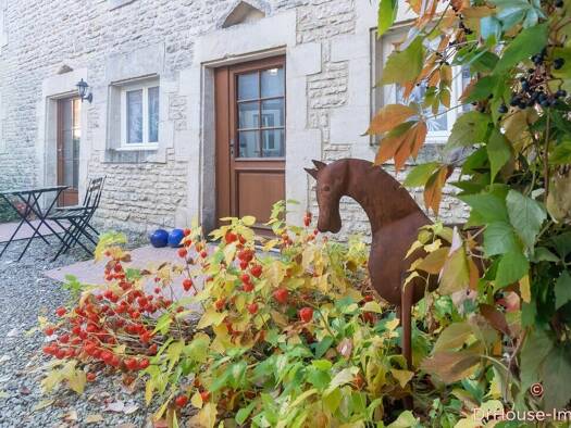 Maison à vendre 790 000 € 25 pièces 15 chambres 657 m² 4 638 m² de terrain Éclance 10200