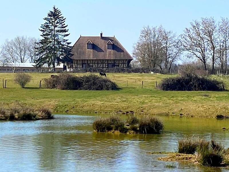 Maison à vendre, 248m², SAINT GERMAIN DU BOIS