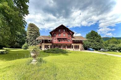 Chalet à vendre 450 000 € 19 pièces 9 chambres 410 m² 4 825 m² de terrain Mitzach 68470