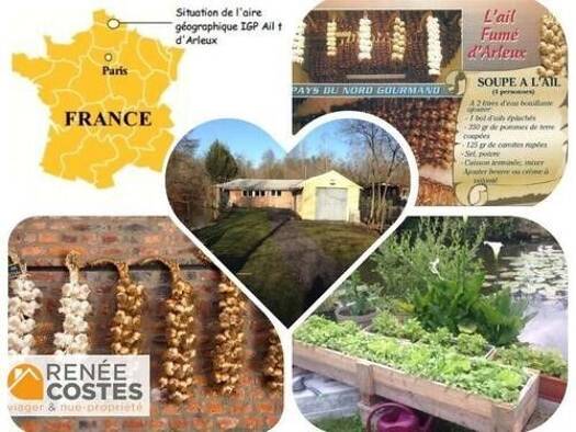 Maison en viager occupé Bouquet 7 400 € 2 pièces 1 chambre 50 m² 1 309 m² de terrain Arleux 59151