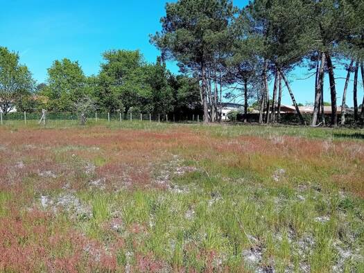 Terrain constructible viabilisé à vendre 199 000 € 413 m² de terrain Saint-Aubin-de-Médoc 33160