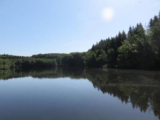 Propriété de loisirs à vendre 139 000 € 35 856 m² de terrain Servance-Miellin 70440