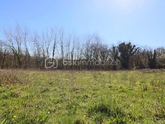 Terrain à vendre 48 000 € 1 401 m² de terrain Sauvagnon 64230