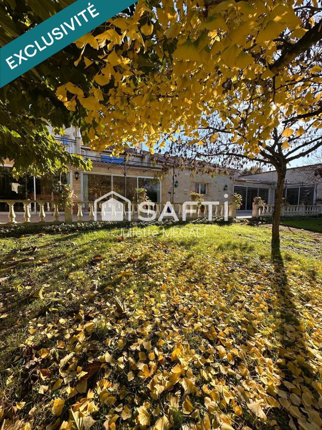 Maison à vendre, 385m², VILLEFRANCHE DE LONCHAT