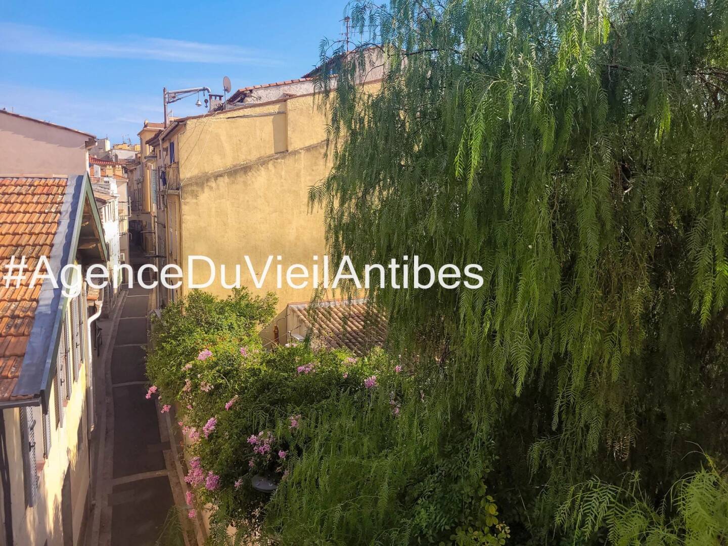 Maison à louer, 30m², ANTIBES