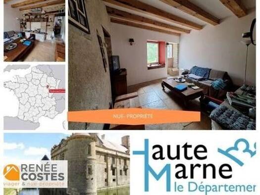 Maison en viager occupé Bouquet 72 162 € 5 pièces 3 chambres 95 m² 196 m² de terrain Les Faubourgs Langres 52200