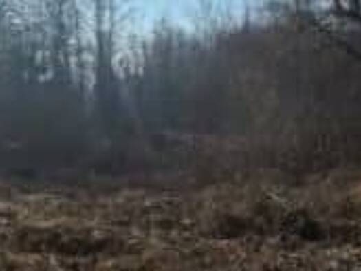 Terrain constructible à vendre 76 000 € 1 780 m² de terrain Vieilley 25870