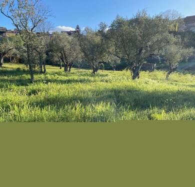 Terrain viabilisé à vendre 81 400 € 990 m² de terrain Les Mages 30960