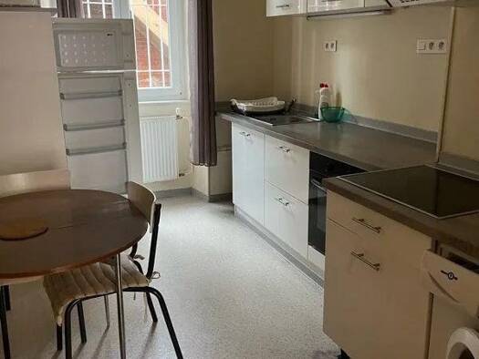 Appartement à louer - logement étudiant 500 € 1 pièce 30 m² RDC Mulhouse 68100