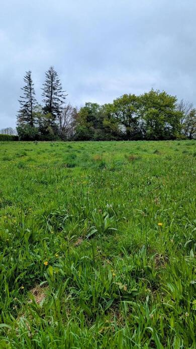 Terrain constructible à vendre 34 700 € 2 206 m² de terrain Laz 29520