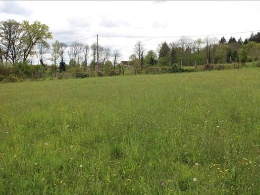 Terrain à vendre 23 300 € 2 271 m² de terrain Bussiere Galant 87230