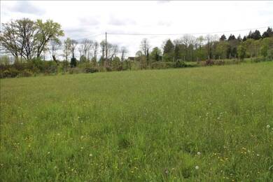 Terrain à vendre 23 300 € 2 271 m² de terrain Bussiere Galant 87230