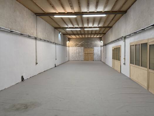 Entrepôt à louer 870 € 270 m² d'espace de stockage Saint-Clément-sur-Valsonne 69170