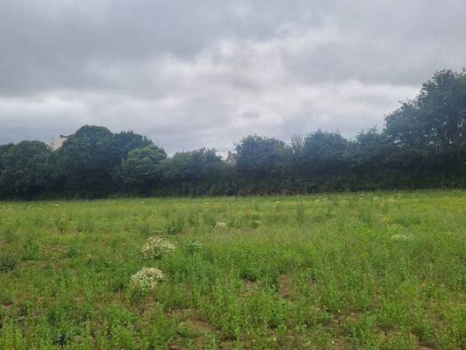 Terrain constructible viabilisé à vendre 55 000 € 339 m² de terrain Landivisiau 29400