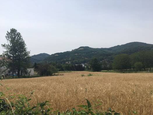 Terrain constructible viabilisé à vendre 82 500 € 241 m² de terrain Tullins 38210