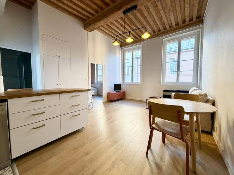 Maison à louer, 48m², LYON 1ER