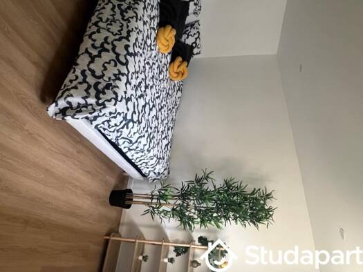 Appartement à louer - logement étudiant 670 € 1 pièce 14 m² RDC disponible dès maintenant Calvaire-Saint Pierre Caen 14000