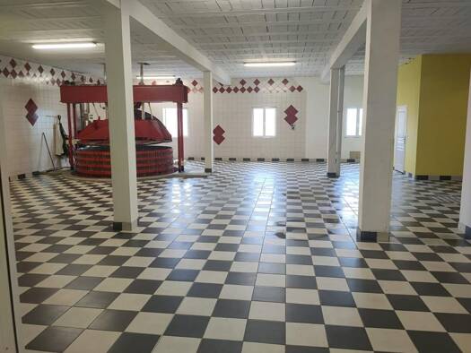 Immeuble en viager libre Bouquet 202 175 € 423 m² Chavot-Courcourt 51530