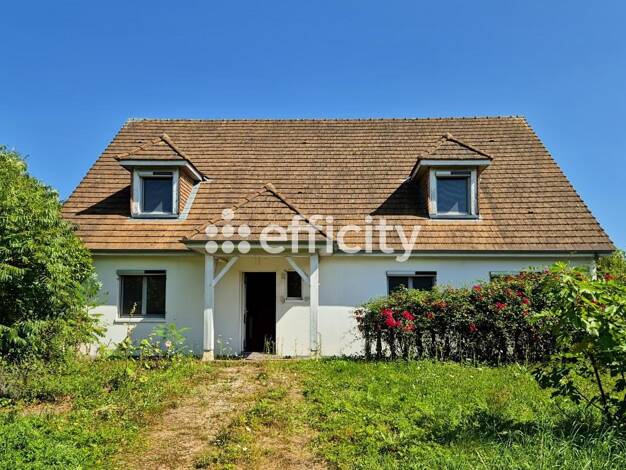 Maison à vendre 220 000 € 6 pièces 4 chambres 193 m² 3 600 m² de terrain La Châtre 36400