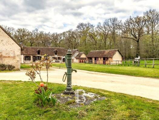 Ferme à vendre 699 600 € 13 pièces 8 chambres 380 m² Cour-Cheverny 41700