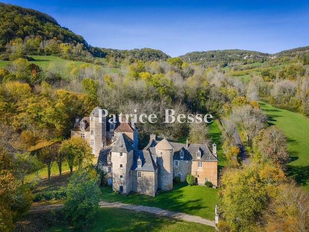 Château à vendre 1 150 000 € 3 pièces 13 chambres 700 m² 210 000 m² de terrain Brive-la-Gaillarde 19100