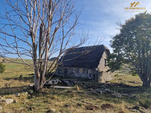 Maison à vendre 160 000 € 4 pièces 1 chambre 300 m² 18 000 m² de terrain Freycenet-la-Cuche 43150