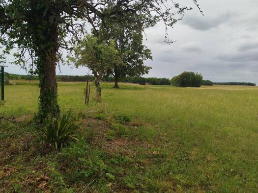 Maison à vendre 109 000 € 4 pièces 3 chambres 103 m² 1 340 m² de terrain Beauce la Romaine 41240