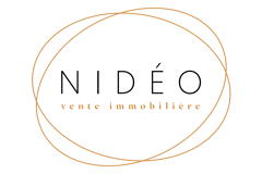DREAM-EO logo