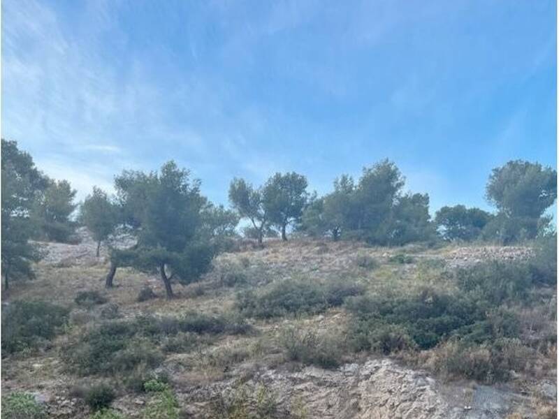 Maison à louer, 17m², MARSEILLE 8E