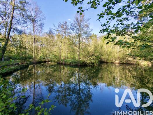 Terrain à vendre 76 000 € 5 098 m² de terrain Ferrières-en-Gâtinais 45210