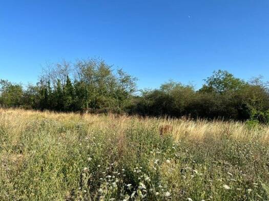 Terrain constructible viabilisé à vendre 83 850 € 559 m² de terrain Sud Est Cernay 68700