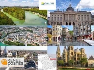 Appartement en viager occupé Bouquet 33 083 € 4 pièces 2 chambres 90 m² Étage 3/4 Champs-Complexe Agricole Chalons en Champagne 51000