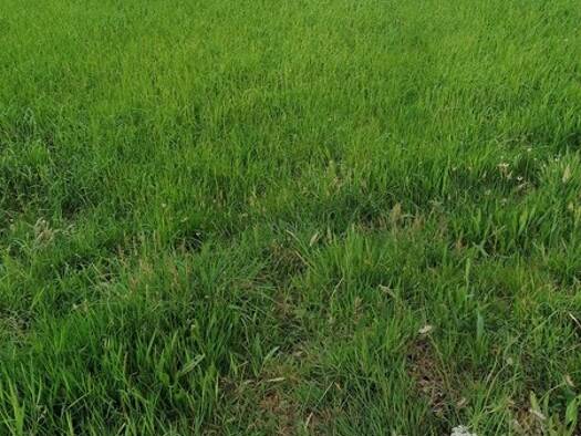 Terrain constructible à vendre 65 000 € 400 m² de terrain Mellac 29300