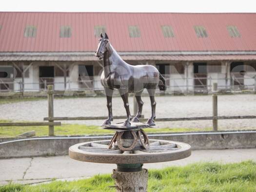 Ferme équestre à vendre 1 100 000 € 220 m² 1 490 000 m² de terrain Bassevelle 77750