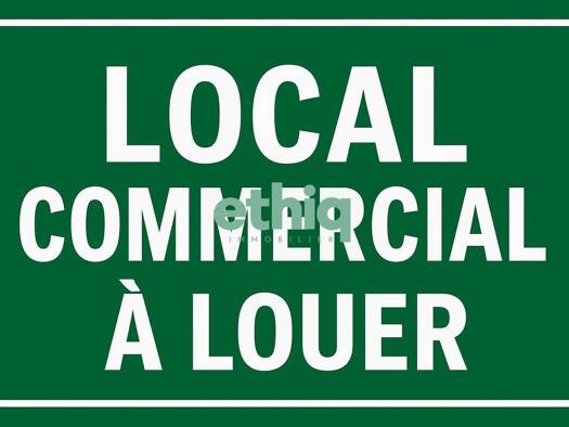 Local commercial à louer 8 127 € 270 m² de surface de vente Les Abymes 97139